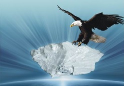 企業(yè)形象圖3